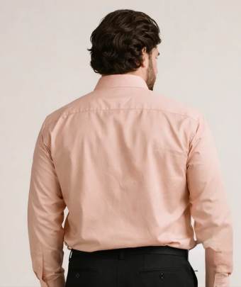 formal begi  shirt  0
